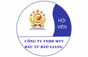 Công Ty TNHH MTV Đầu Tư Bảo Giang