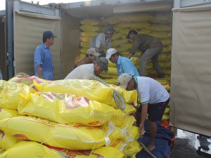 Nhiều vướng mắc về xuất khẩu gạo được tháo gỡ