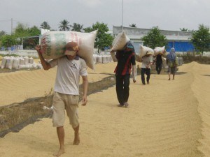Hiến kế cứu gạo xuất khẩu chất đống tại cảng