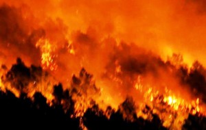 Đang cháy rừng, lửa bốc lên ngùn ngụt bên quốc lô 1A