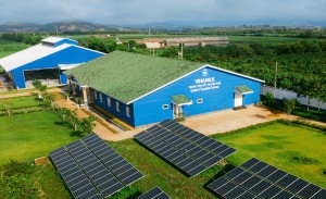 Vinamilk đầu tư hệ thống năng lượng mặt trời tại 12 trang trại bò sữa trên cả nước