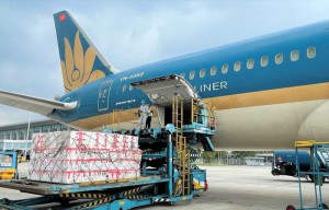 Vietnam Airlines xây dựng đề án hãng hàng không vận tải hàng hóa