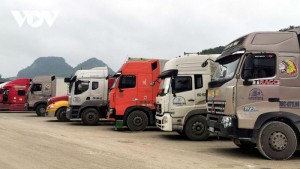 Bộ Công Thương cùng Lạng Sơn xử lý ùn ứ hàng hóa tại cửa khẩu Tân Thanh