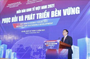 Diễn đàn Kinh tế Việt Nam 2021: Cấu trúc lại nền kinh tế để phát triển theo hướng xanh, số và bền vững