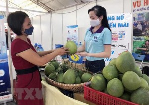 TP Hồ Chí Minh: Hơn 230 doanh nghiệp tham gia hội chợ khuyến mại 2021