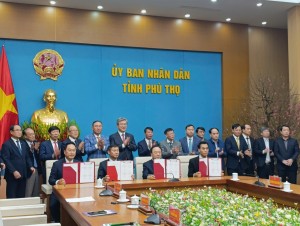 dn hàn quốc